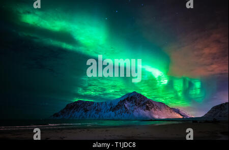 Aurora Borealis (Nordlicht) über Skagsanden Strand. Lofoten, Norwegen Stockfoto