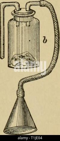 Krankheiten des Hundes und Krankheiten des Hundes und ihre Behandlung diseasesofdogthe 01 ml Jahr: 1897 a, inhalationsmaske;&, Inhalation Flasche. Stockfoto