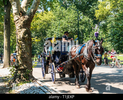 Central Park, New York, USA - 15. August 2018: Sommer in New York City mit Touristen, die für eine Fahrt in einem Pferd und Buggy im Central Park. Stockfoto