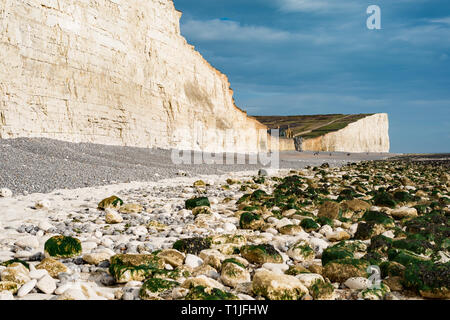 Die sieben Schwestern weißen Kreidefelsen Richtung Birling Gap in East Sussex in England. Stockfoto