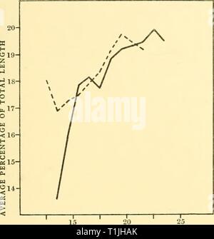 Reports (1929) Entdeckung berichten discoveryreports 11929 inst Jahr: 1929 EXTERNE ZEICHEN DER FINNWALE 333 LÄNGE DER WAL IN METER Stockfoto