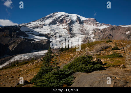 WA 16026-00 ... WASHINGTON - Blick auf den Nisqually Gletscher und Mount Rainier aus dem Skyline Trail direkt über Gletscher Vista in Mt Rainier National Park. Stockfoto