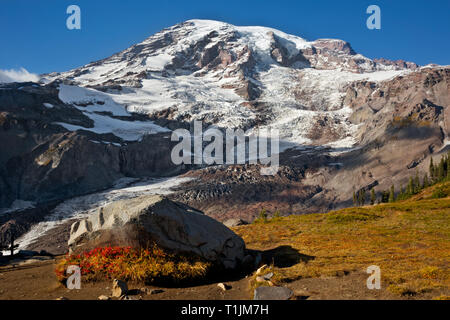 WA 16029-00 ... WASHINGTON - die Sicht auf die Gletscher Vista Trail mit Blick auf den Nisqually Gletscher im Mount Rainier National Park. Stockfoto