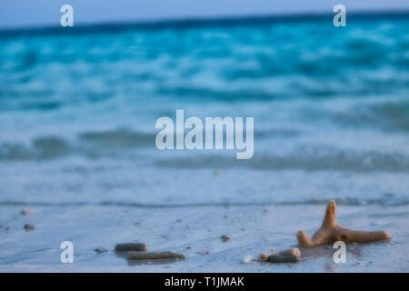 Dieses einzigartige Bild zeigt die natürliche Strand einer maledivischen Insel wo Coral Stücke vom Meer berührt wurden. Stockfoto