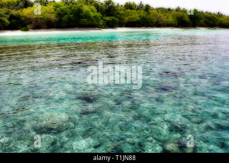 Dieses einzigartige Bild zeigt die Koralle mit klarem Wasser vor eine Insel auf den Malediven Stockfoto