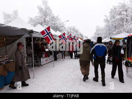 JOKKMOKK, Schweden am Februar 08, 2019. Die Menschen bewegen sich zwischen den Ständen. World, Deutsch, Wirtschaft, Handwerk und etwas zu Essen. Redaktionelle Verwendung. Stockfoto