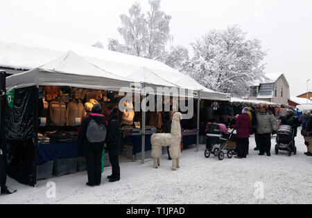 JOKKMOKK, Schweden am Februar 08, 2019. Die Menschen bewegen sich zwischen den Ständen. World, Deutsch, Wirtschaft, Handwerk und etwas zu Essen. Redaktionelle Verwendung. Stockfoto