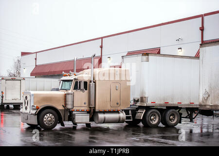 Klassische amerikanische beige Big Rig Motorhaube Semi Truck mit Kühlergrill Schutz laden kommerziellen Ladung im Lager Dock in Zeile mit einem weiteren Auflieger auf Stockfoto