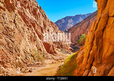 Der Spaziergang unter den roten Felsen von kleinen farbigen Canyon, in der Wüste Sinai, Ägypten. Stockfoto