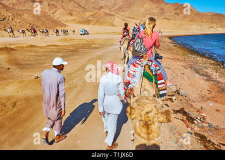 DAHAB, Ägypten - Dezember 16, 2017: Der kameltreiber das Kamel Zug begleiten, langsam zu Fuß entlang der Küste des Golfs von Akaba mit Blick auf die Wüste Sinai ein Stockfoto