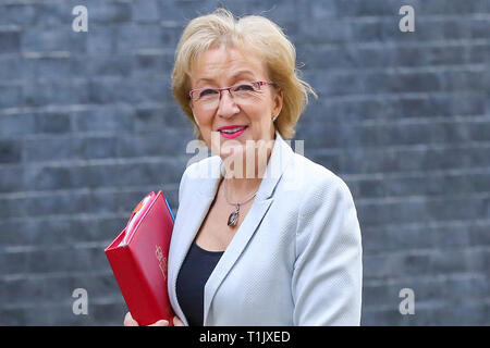 Andrea Leadsom - Herr Präsident des Rates, und Führer des Unterhauses gesehen an der Downing Street anreisen, die wöchentliche Kabinettssitzung zu besuchen. Stockfoto