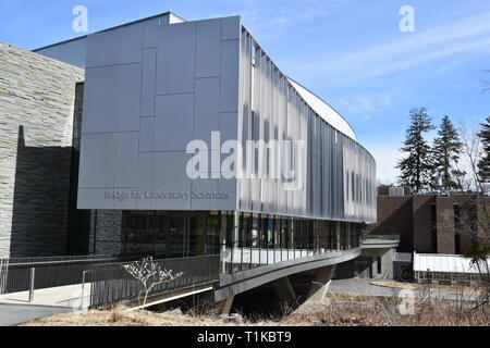 Vassar College, einer der Sieben Schwestern, in Poughkeepsie, Hudson River Valley, Upstate New York, USA Stockfoto