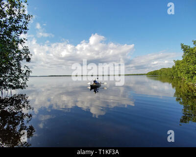 Der Everglades National Park, Florida 02-05-2017 Active Senior Kajaks auf eine außergewöhnlich ruhig Blässhuhn Bucht inmitten einer markanten cloud Reflexionen. Stockfoto