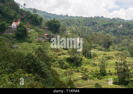 Tongkonan Häuser, traditionelle Torajan Gebäude, Tana Toraja ist die traditionelle ancestral Haus des Torajan Menschen, im Süden von Sulawesi, Indonesien. Zu Stockfoto