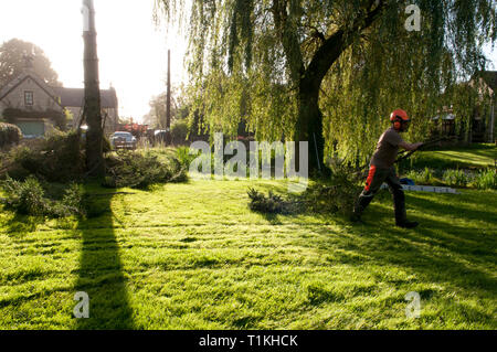 Baum Chirurgen entfernen von Ästen und Sie zu den Wald chipper vor Holzeinschlag Stockfoto