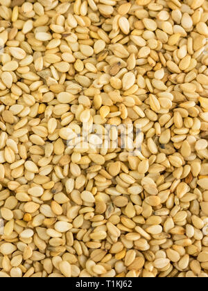 Schließen Foto von Sesam, Hintergrund aus Sesamsamen Stockfoto