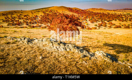 Aerial Gott aus Ahorn in den bewaldeten Berge bei Sonnenuntergang im Herbst in der Inneren Mongolei, China Stockfoto