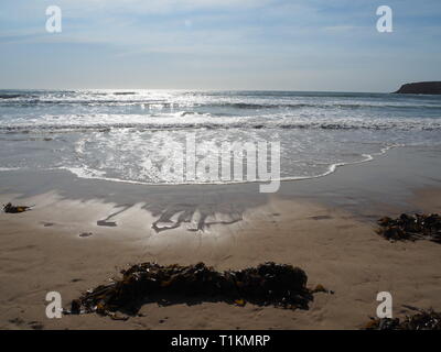 Das Meer und die Algen bilden komplizierte Muster im Sand am Strand, der mittleren Nordküste nsw Australien Stockfoto