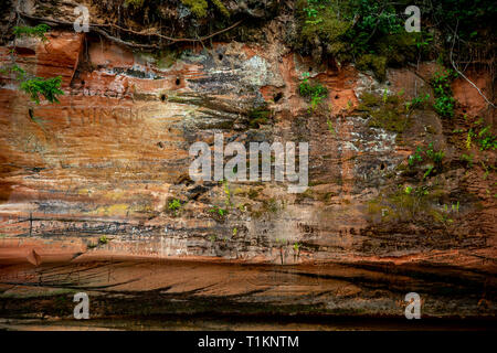 Nahaufnahme von sandsteinfelsen Formation in der Nähe des Flusses Gauja in Lettland. Sedimentgestein aus Sand oder Quarz Körner zusammen geklebt. Stockfoto
