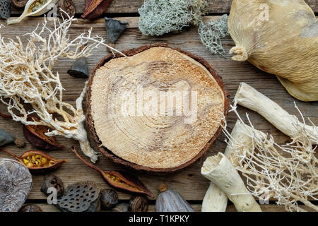 Holz- stumpf, getrocknete Wurzeln, Nussschale, Kokosnüsse, chemische Anlagen, Eukalyptus, Lotus Samen für die Floristische Gestaltung auf alten Holz- Board. Ansicht von oben. Stockfoto