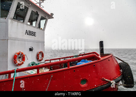 Tug Boat Abbe (erbaut 1977) im Schnee Sturm im Hafen von Bergen, Norwegen Stockfoto