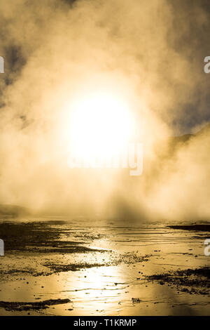 Sonnenaufgang hinter Fumarolen, auf einer Höhe von 4300 m über dem Meeresspiegel, El Tatio Geysire, Atacama-wüste, Antofagasta Region, Chile, Südamerika Stockfoto