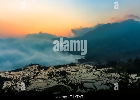 Luftaufnahme von yuanyang Reisterrassen bei Duoyishu View Point mit seiner mystischen Meer der Wolken bei Tagesanbruch Stockfoto