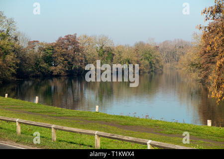 Die Themse und Runnymede Wiese/Überschwemmungsgebiet auf einem hellen Wintertag. Runnymede, Surrey. UK. (106) Stockfoto