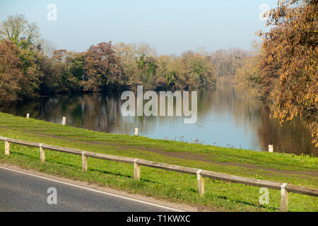 Die Themse und Runnymede Wiese/Überschwemmungsgebiet auf einem hellen Wintertag. Runnymede, Surrey. UK. (106) Stockfoto