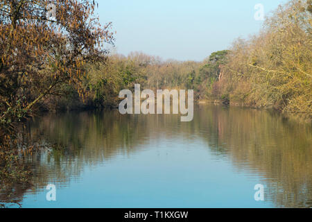 Die Themse und Runnymede Wiese/Überschwemmungsgebiet auf einem hellen Wintertag. Runnymede, Surrey. UK. (106) Stockfoto