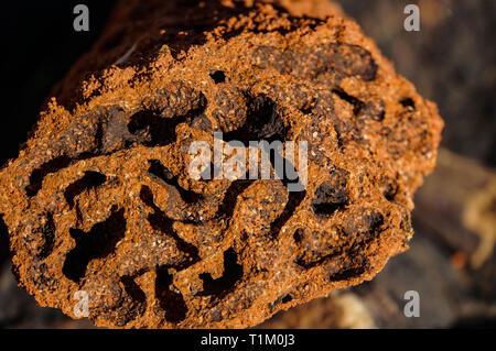 Nahaufnahme der innerhalb eines Roten termite Damm, Northern Territory Stockfoto