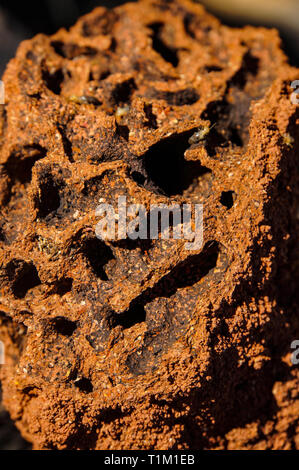 Nahaufnahme der innerhalb eines Roten termite Damm, Northern Territory Stockfoto