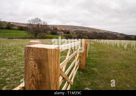 Blick auf den Baum Bepflanzung an Reeth, North Yorkshire in der Nähe von Bridge mit großen Tor im Vordergrund Schwingen Stockfoto