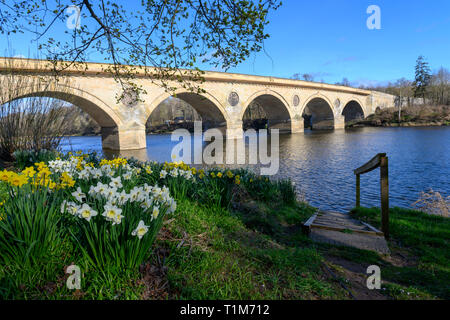 Coldstream Bridge über den Fluss Tweed, Coldstream, Scottish Borders, Schottland, Großbritannien Stockfoto
