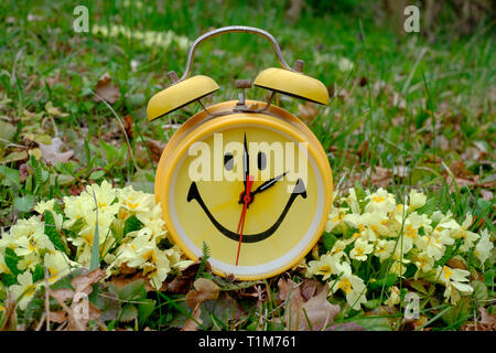 Gelb Wecker mit Smiley auf 2 gesetzt werde unter Frühjahr Primeln als Uhren auf die Sommerzeit ändern Stockfoto