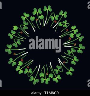 Microgreens Chinakohl. In einem Kreis angeordnet. Vitamin Supplement, veganes Essen. Schwarzer Hintergrund Stock Vektor