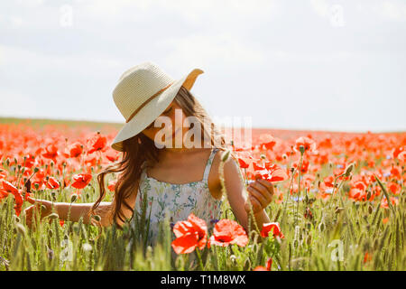 Heiteres Mädchen pflücken roten Mohnblumen in sonnigen, idyllischen ländlichen Feld Stockfoto