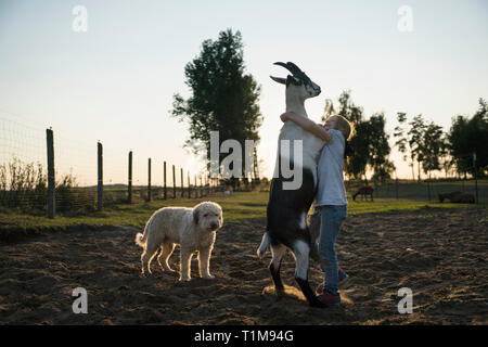 Mädchen tanzen mit Ziege im ländlichen Bereich Stockfoto