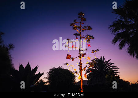 Agave blossom Tree mit weihnachtlichen Ornamenten, Costa Teguise, Lanzarote, Spanien Stockfoto