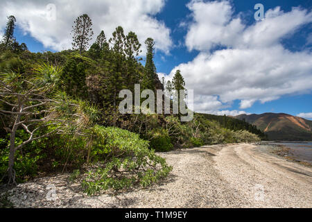 Küstenvegetation und Strand südlich von Noumea in die südliche Lagune Unesco Weltkulturerbe in Neukaledonien. Stockfoto