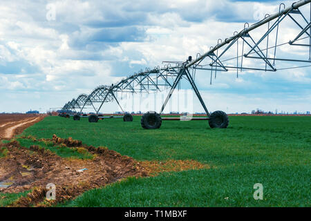 Drehmittelpunkt Bewässerungssystem in kultivierten Weizen landwirtschaftliches Feld Stockfoto