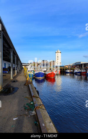 North Shields fisch Quay, North East England, Großbritannien Stockfoto