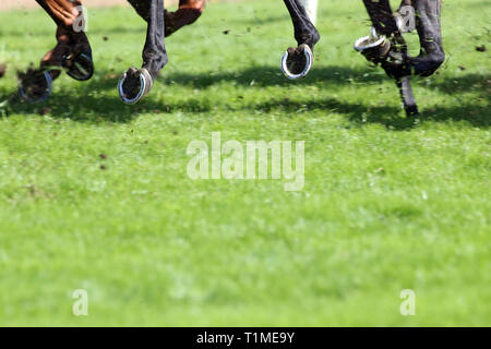 21.05.2018, Hannover, Niedersachsen, Deutschland - Hufe des Pferdes im Galopp auf Gras Schneeschuhwandern. 00 S 180521 D460 CAROEX.JPG [MODEL RELEASE: NICHT ZUTREFFEND, PRO Stockfoto