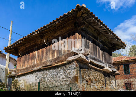 Horreo asturiano. Asturische Scheune. Populäre Architektur in Los Callejos. Asturien. Spanien. Stockfoto