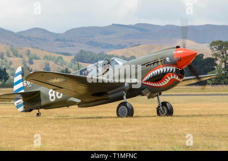 Curtiss P-40 Warhawk zweiten Weltkrieg Jagdflugzeug mit shark Mund an Haube Flugplatz, Masterton, Neuseeland Rollen. Pilot Stu Goldspink Stockfoto