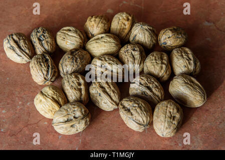 Getrocknete Walnüsse (Juglans) in ihren Schalen. Es enthält eine Menge Mangan, Magnesium, Phosphor und Vitamin B6. Walnüsse enthält auch andere Mineralien und Stockfoto