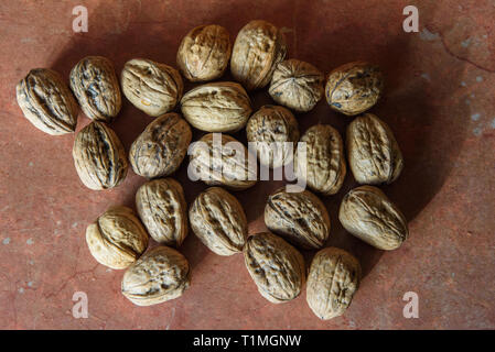 Getrocknete Walnüsse (Juglans) in ihren Schalen. Es enthält eine Menge Mangan, Magnesium, Phosphor und Vitamin B6. Walnüsse enthält auch andere Mineralien und Stockfoto