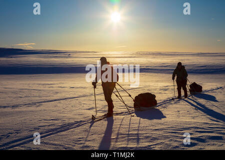 Cross Country Ski Touren Gruppe der Finnmarksvidda Plateau überquert. Finnmark, Das arktische Norwegen. Stockfoto