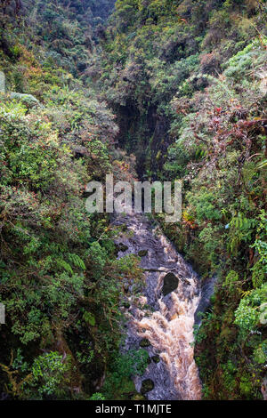 Ein Wasserfall in Cloud forest in Purace Nationalpark, die kolumbianischen Anden Stockfoto