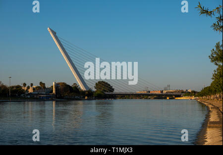 Die alamillo Brücke verbindet den nördlichen Sevilla mit La Cartuja über den Kanal de Alfonso XIII. Stockfoto